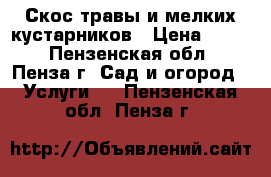 Скос травы и мелких кустарников › Цена ­ 500 - Пензенская обл., Пенза г. Сад и огород » Услуги   . Пензенская обл.,Пенза г.